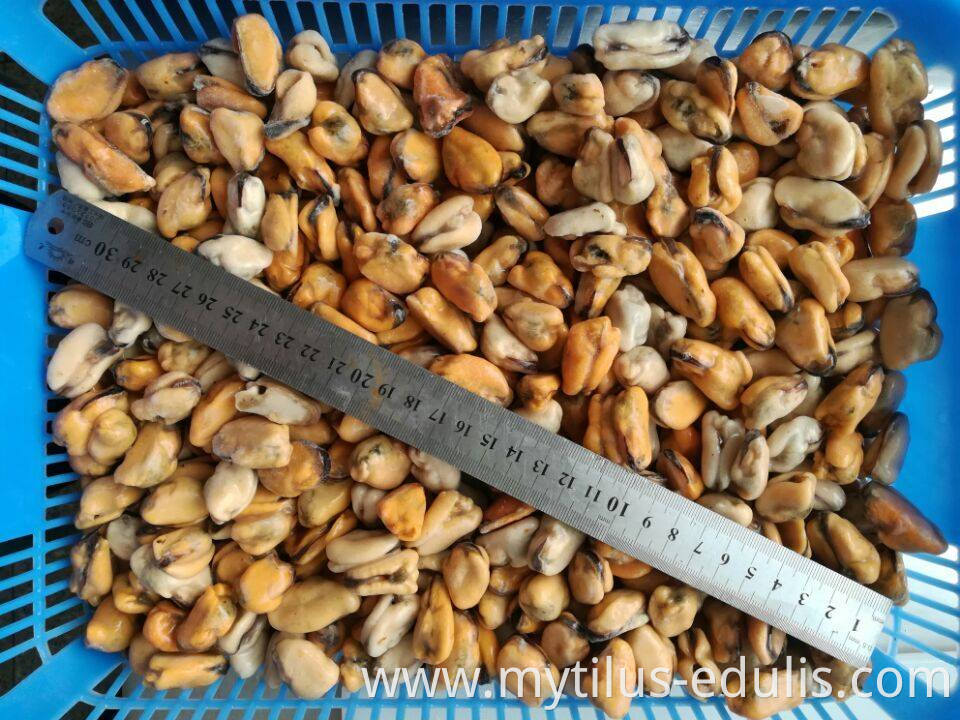 wholesale frozen cooked mussel meat at lower price